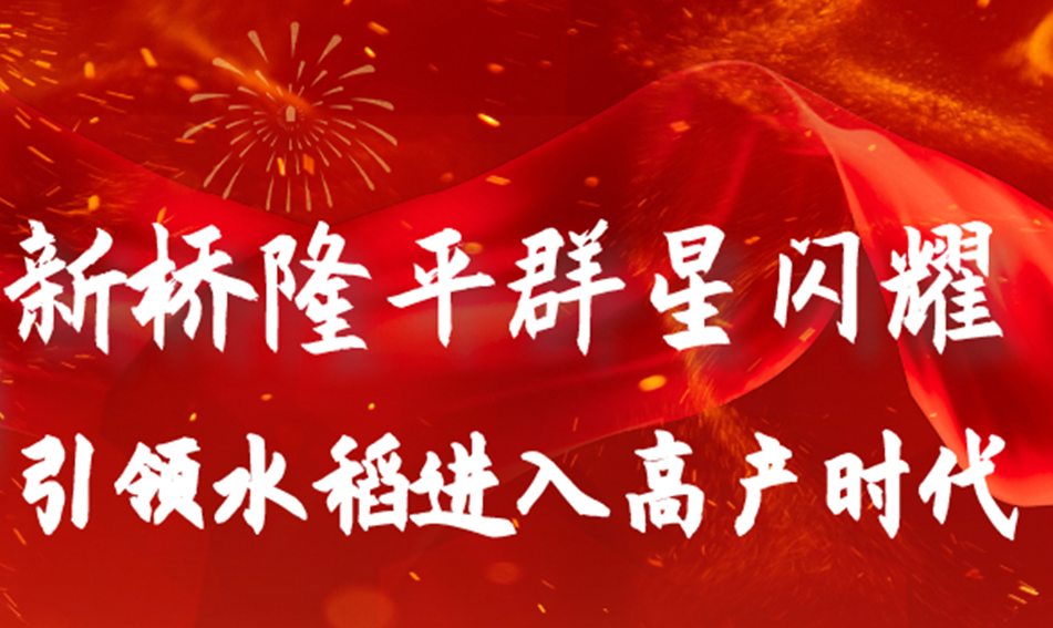 新橋隆平 群星閃耀 起航2020引領(lǐng)水稻進入高產(chǎn)新時代