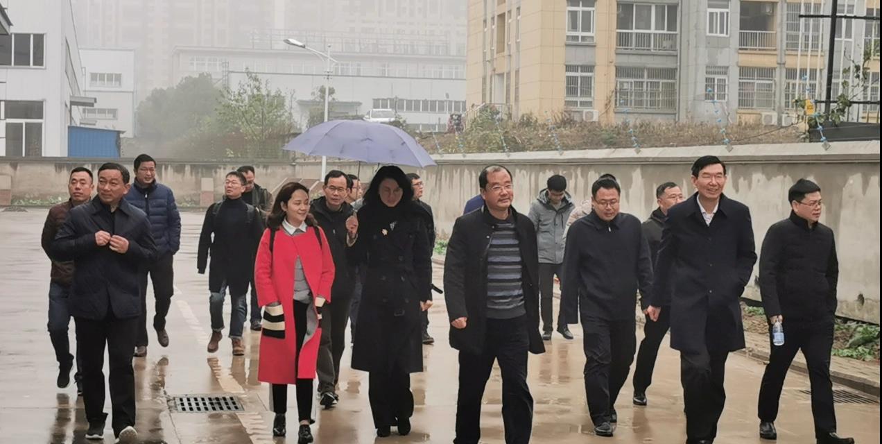 輪值總裁馬德華一行調(diào)研指導(dǎo)新橋隆平工作