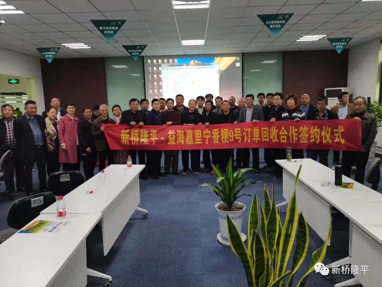 新橋隆平寧香粳9號與益海嘉里訂單回收正式簽約